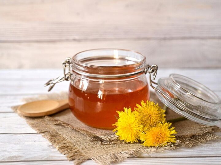 Miód mniszkowy właściwości zdrowotne i zastosowanie