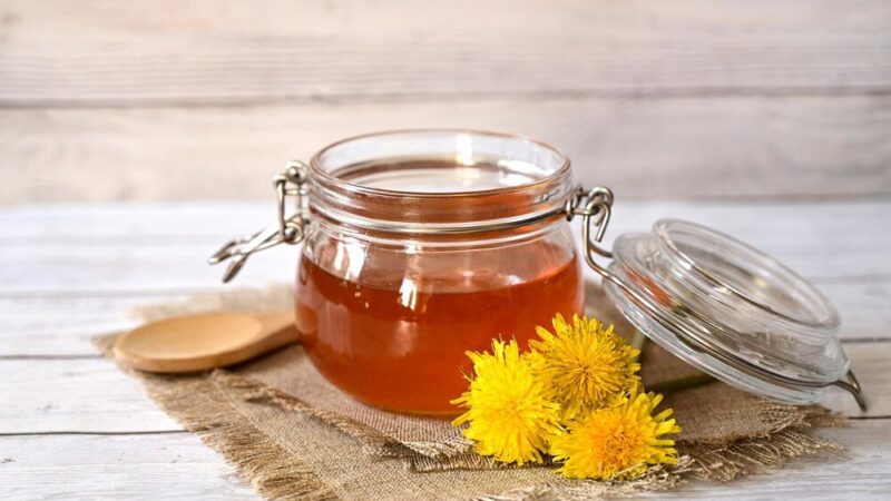 Miód mniszkowy właściwości zdrowotne i zastosowanie